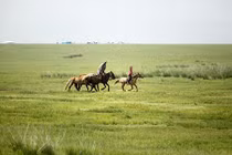 Thảo nguyên Mông Cổ ngày càng vắng bóng người du mục