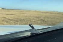 Đang lái xe 100km/h, tá hỏa vì rắn độc ngỏng cổ trước mặt