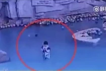 Bé 4 tuổi suýt chết đuối vì mẹ mải nhắn tin