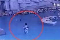 Bé 4 tuổi suýt chết đuối vì mẹ mải nhắn tin