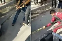 Méo mặt vì trăn "khủng" cuộn quanh động cơ ô tô