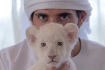 Có thể ngồi tù nếu nuôi báo đốm, sư tử, hổ làm thú cưng