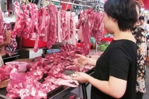 Khủng hoảng giá thịt lợn có lấy lan sang ngành bò, gà?
