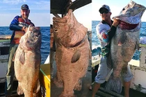 Cá khổng lồ nặng 70 kg làm nổ cần câu điện gây sốc