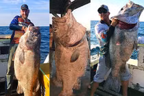 Cá khổng lồ nặng 70 kg làm nổ cần câu điện gây sốc