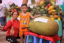 Lạc vào thế giới “hàng khủng” trong ngày hội vườn trái cây