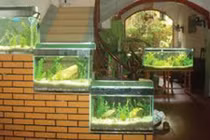 Năm vật trang trí nhà giúp gia chủ hốt bạc mỏi tay 