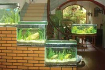 Năm vật trang trí nhà giúp gia chủ hốt bạc mỏi tay 