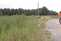 Xót xa công viên trăm tỷ bỏ hoang 15 năm giữa Sài Gòn