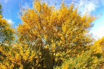 Bật mí địa điểm “sống ảo” mới lạ nhất tại Phan Thiết