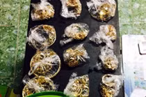 Bắt nghi can thứ 3 trong vụ trộm 100 lượng vàng