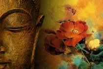 Phụ nữ nên học Phật thế nào để cầu được ước thấy? 