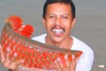 Bí ẩn loài cá thiêng có vẩy đỏ như máu người ở Biển Hồ 