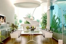 Điều cần biết khi đặt bể cá và cây cảnh trong nhà