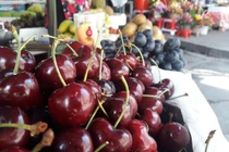 Cherry Mỹ nhập khẩu phơi cả ngày dưới trời nắng vẫn tươi