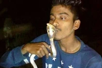 Cố hôn răn hổ mang, soái ca bị cắn vào ngực chết thảm