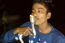 Cố hôn răn hổ mang, soái ca bị cắn vào ngực chết thảm