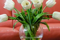 3 loại hoa phá vỡ phong thủy tuyệt đối không bày trong nhà 