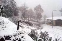 Thiên đường trải nghiệm mùa đông chuẩn nhất Việt Nam