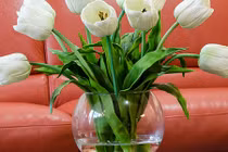 3 loại hoa phá vỡ phong thủy tuyệt đối không bày trong nhà 