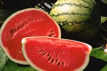 Kinh ngạc lợi ích hạt dưa hấu không ai để ý