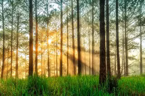 10 điểm đến tuyệt vời ở Việt Nam khách du lịch say mê 