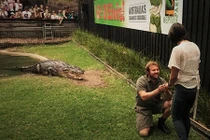 "Thót mình" vừa cho cá sấu khổng lồ ăn, vừa cầu hôn bạn gái 