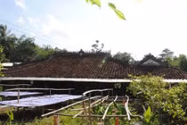 Về thăm ngôi nhà trăm cột độc đáo ở Đồng Tháp