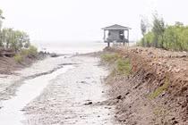 Chiếc sim điện thoại cũ và cái chết của nữ sinh trẻ