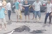 Hải Phòng: Xe điên tông 3 nữ sinh, 2 người chết thảm