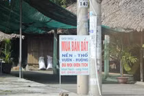 Quán ăn, tiệm cắt tóc ở Nhơn Trạch cũng môi giới nhà đất