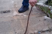 Dự án cấp nước nứt nẻ đội vốn 2.550 tỷ ở Vũng Áng