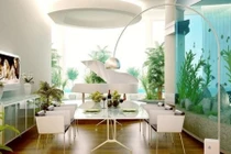 7 nơi cấm kị đặt bể cá trong nhà không thể không biết 