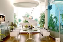 7 nơi cấm kị đặt bể cá trong nhà không thể không biết 