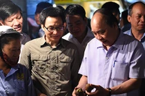 Chùm ảnh: Thủ tướng thị sát chợ Long Biên lúc sáng sớm