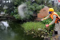 Ảnh: Đặt hàng độc quyền chế phẩm Đức giải cứu hồ bẩn Hà Nội