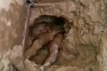 Ngập ngụa trong chất thải vì vượt ngục qua nhà vệ sinh