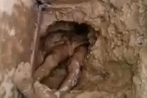 Ngập ngụa trong chất thải vì vượt ngục qua nhà vệ sinh