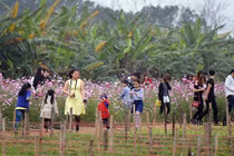 “Công viên đồng nát” thu hút giới trẻ Hà thành