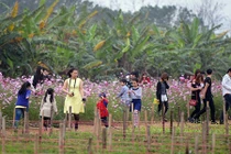 “Công viên đồng nát” thu hút giới trẻ Hà thành