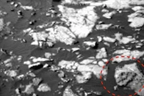 Bằng chứng giật mình về loài khủng long bạo chúa trên sao Hỏa 