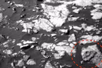 Bằng chứng giật mình về loài khủng long bạo chúa trên sao Hỏa 