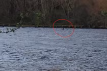 “Dựng tóc gáy” với giả thuyết quái vật hồ Loch Ness tái xuất