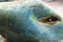 Kỳ lạ hòn đá có mắt, biết khóc như người ở Trung Quốc