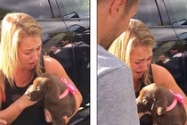 Độc đáo màn cầu hôn bạn gái bằng… chó cưng