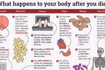 Chuyện gì xảy ra với cơ thể sau khi chết?