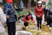 Những sản vật nổi bật mùa đông của miền Tây xứ Nghệ