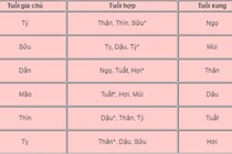 Năm Đinh Dậu, gia chủ nên chọn ai xông nhà để lấy may? 