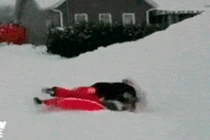 Ngỡ ngàng với “tai họa trên trời rơi xuống“ 