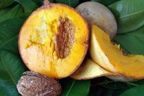 Cận cảnh táo Mỹ vỏ màu cafe hạt to vô cùng kỳ lạ